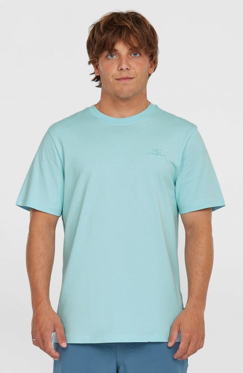 O'Neill Small Logo T-Shirt - Morning Glory