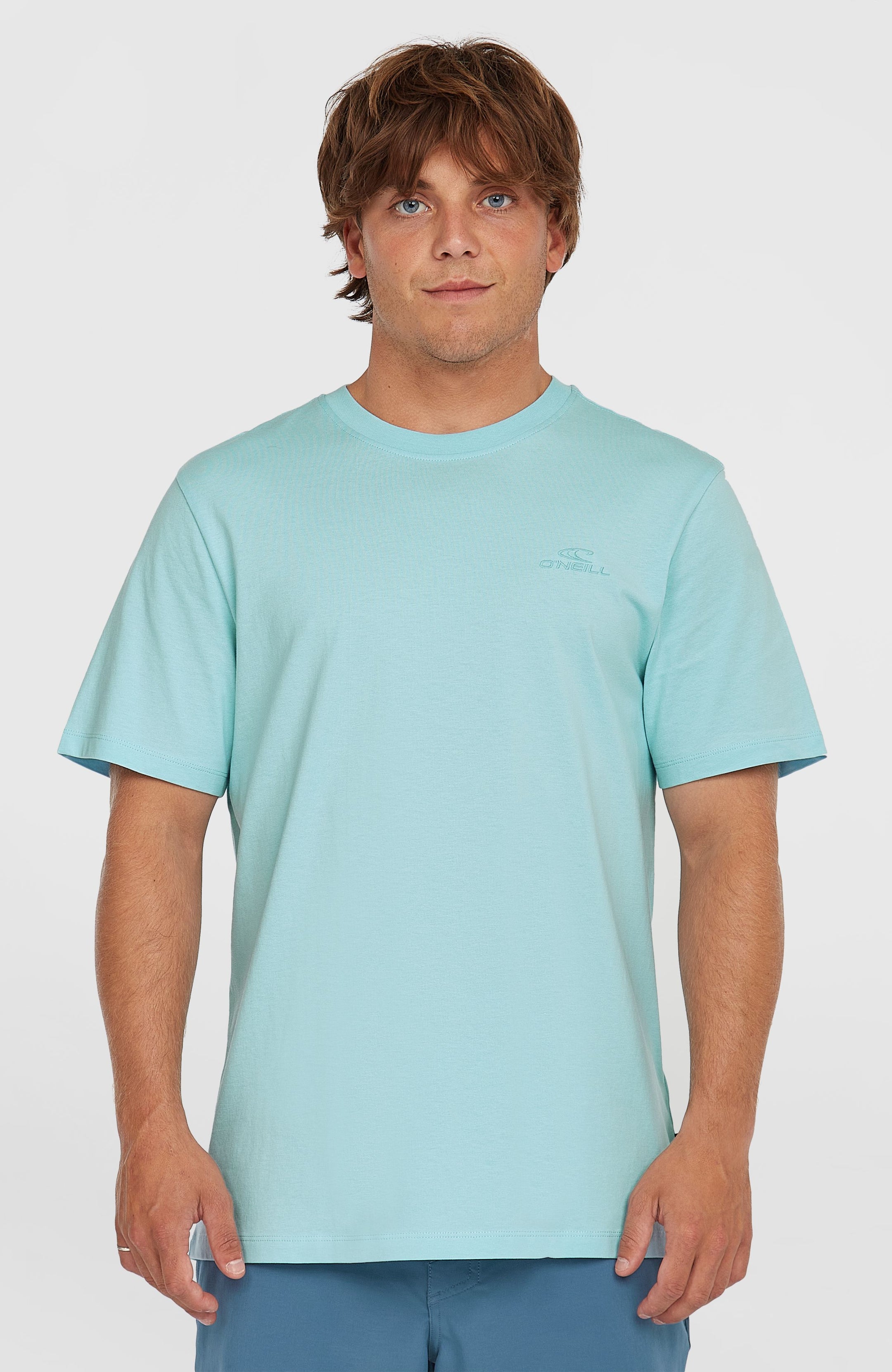 O'Neill Small Logo T-Shirt - Morning Glory