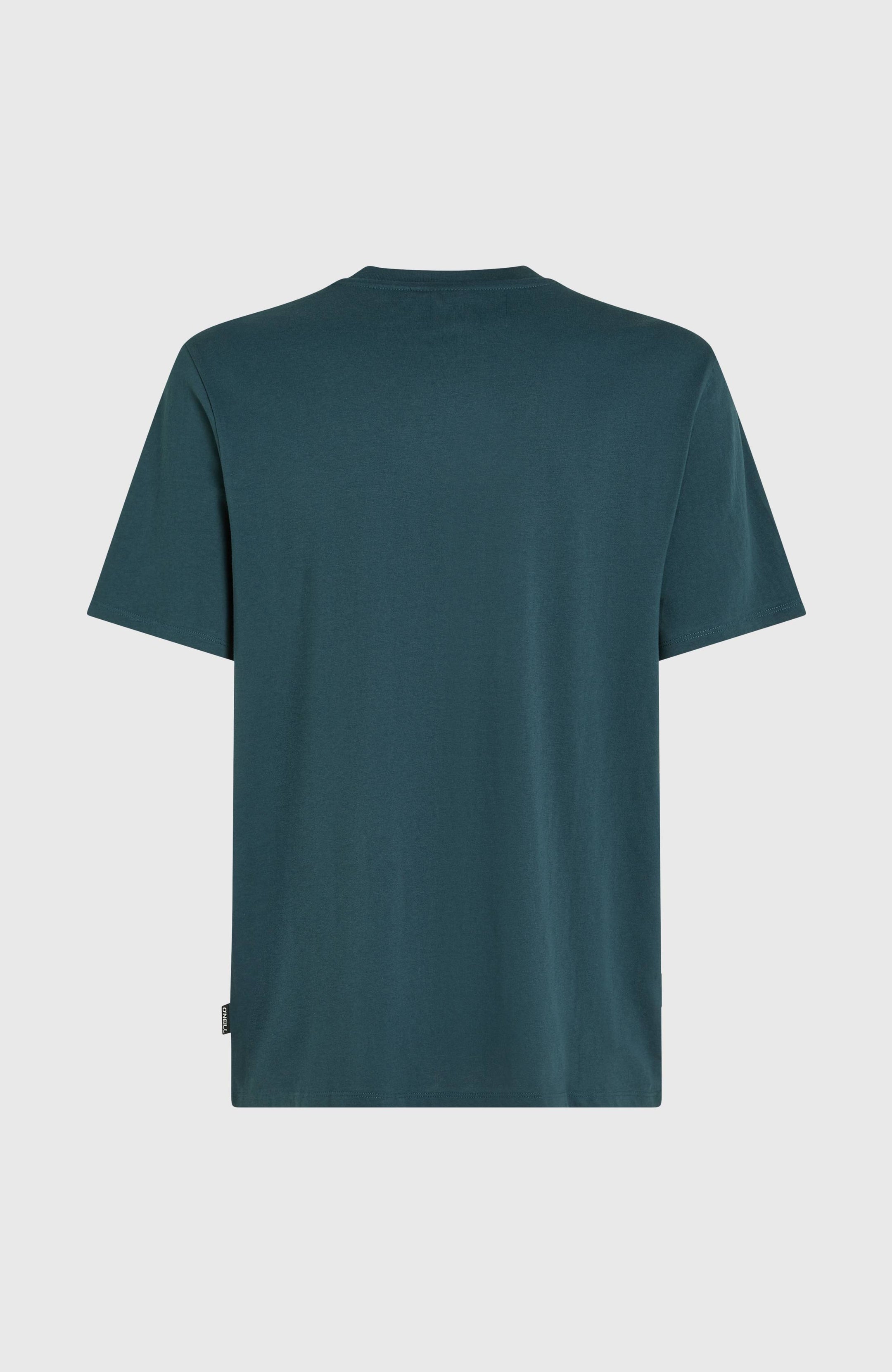 O'Neill Logo T-Shirt - Alma Steel