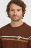 O'Riginals Stripe T-Shirt - Hazel Spice