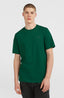 O'Neill Small Logo T-Shirt - Emerald Envy