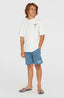 O'Neill Logo Sweatshorts - Copen Blue