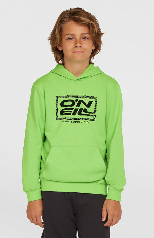 O'Neill Logo Hoodie - Paradise Valley