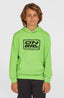 O'Neill Logo Hoodie - Paradise Valley