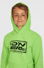 O'Neill Logo Hoodie - Paradise Valley