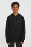 Must-Have Fz Hoodie - Black Out