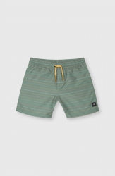 Mix & Match Cali First 13'' Swim Shorts - Lily Pad First Name Stripe