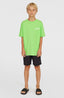 O'Neill Cali Stripe 14" Swimshorts - Green Upside Down