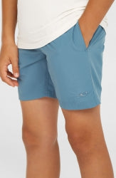 O'Neill Vert 14" Swimshorts - Copen Blue