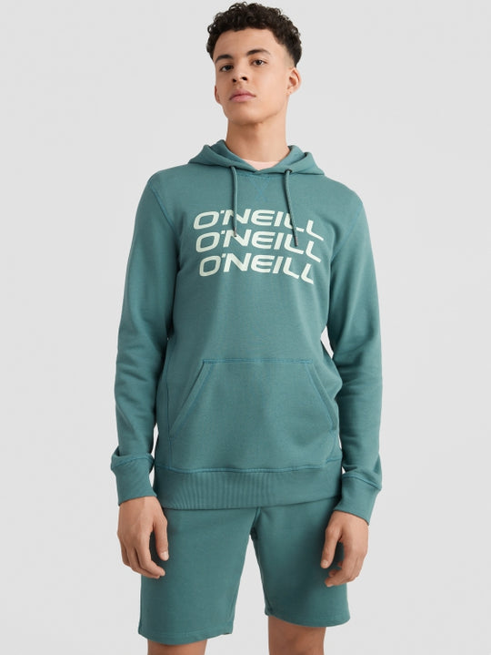 O'Neill Logo Sweatshorts - Sea Pine