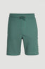 O'Neill Logo Sweatshorts - Sea Pine