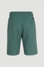 O'Neill Logo Sweatshorts - Sea Pine