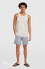 O'Neill Small Logo Sweatshorts - Silver Melee