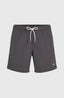 O'Neill Vert 16'' Swimshorts - Asphalt