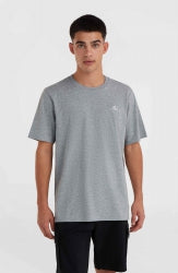 O'Neill Small Logo T-Shirt - Silver Melee